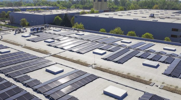 Karbonlábnyom-csökkentés közösen: összefogás a fenntarthatóságért a Prologis magyarországi logisztikai parkjában