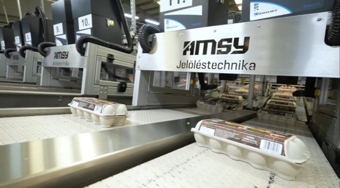 Az AMSY Jelöléstechnika lézeres rendszerei napi több mint 1 millió tojás jelölését támogatják a Farm Tojás üzemében – Lézeres jelölés az élelmiszeriparban